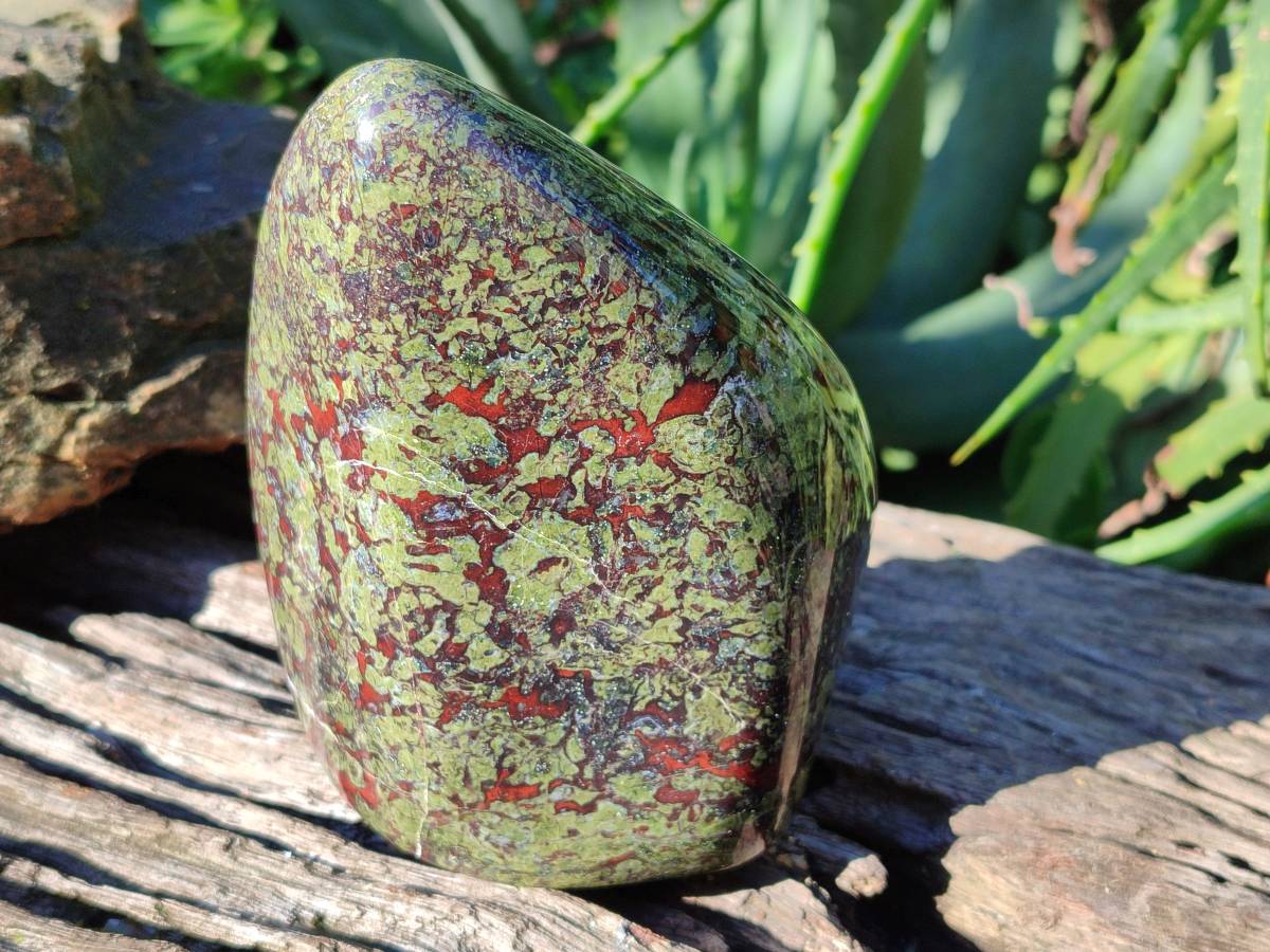 Polished Bastite Dragons Blood Standing Free Form x 1 From Tshipise, South Africa - Toprock Gemstones and Minerals 