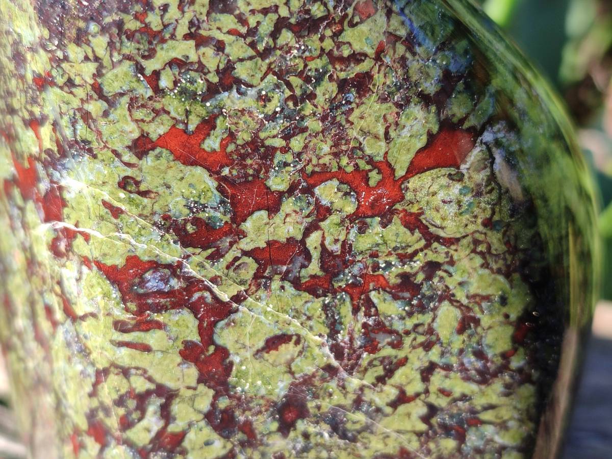 Polished Bastite Dragons Blood Standing Free Form x 1 From Tshipise, South Africa - Toprock Gemstones and Minerals 