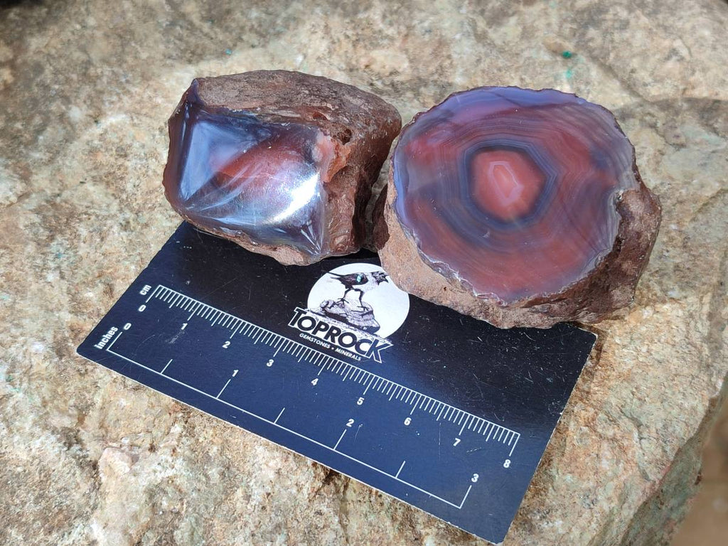 Polished On One Side Red Sashe River Agate Nodules x 20 From Zimbabwe - Toprock Gemstones and Minerals 