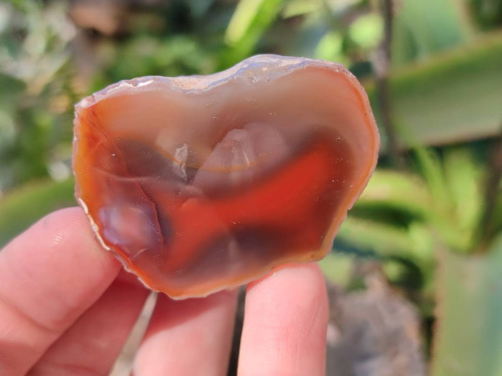 Polished On One Side Red Sashe River Agate Nodules x 20 From Zimbabwe - Toprock Gemstones and Minerals 