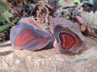 Polished On One Side Red Sashe River Agate Nodules x 20 From Zimbabwe - Toprock Gemstones and Minerals 