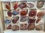 Polished On One Side Red Sashe River Agate Nodules x 20 From Zimbabwe - Toprock Gemstones and Minerals 
