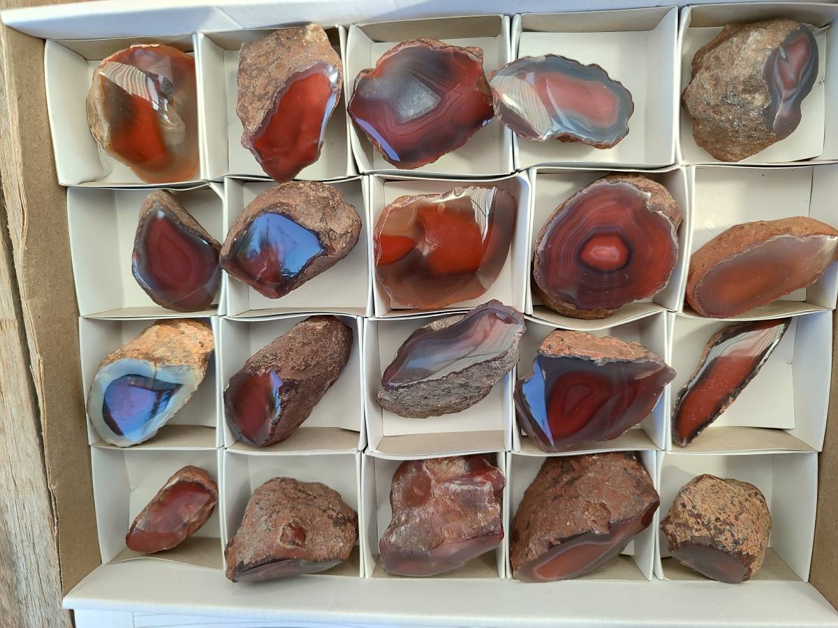 Polished On One Side Red Sashe River Agate Nodules x 20 From Zimbabwe - Toprock Gemstones and Minerals 