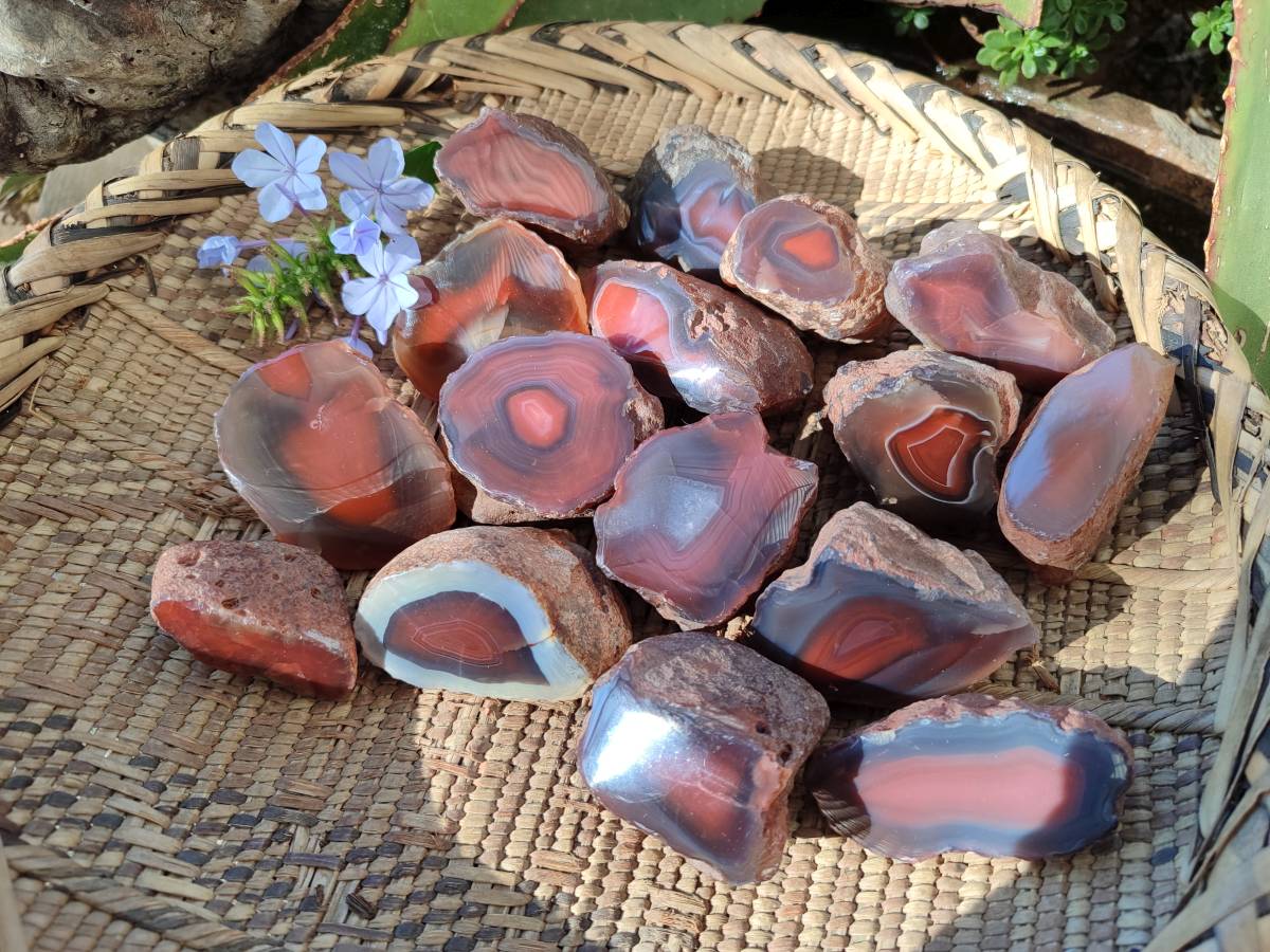 Polished On One Side Red Sashe River Agate Nodules x 20 From Zimbabwe - Toprock Gemstones and Minerals 