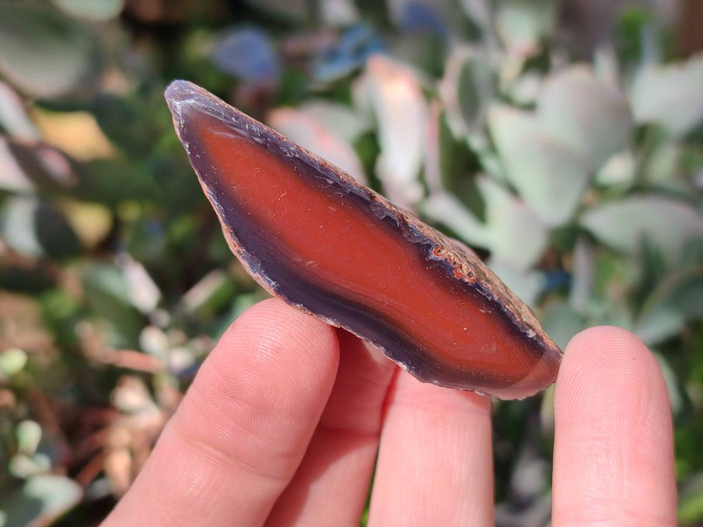 Polished On One Side Red Sashe River Agate Nodules x 20 From Zimbabwe - Toprock Gemstones and Minerals 