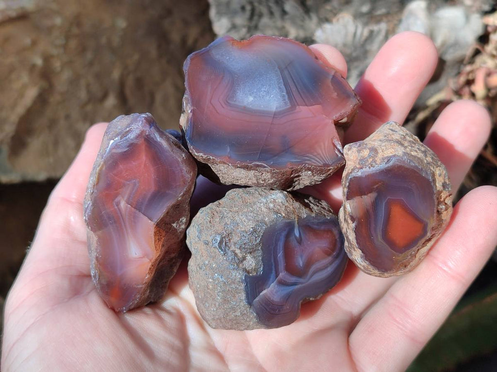 Polished On One Side Red Sashe River Agate Nodules x 20 From Zimbabwe - Toprock Gemstones and Minerals 