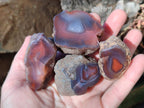 Polished On One Side Red Sashe River Agate Nodules x 20 From Zimbabwe - Toprock Gemstones and Minerals 