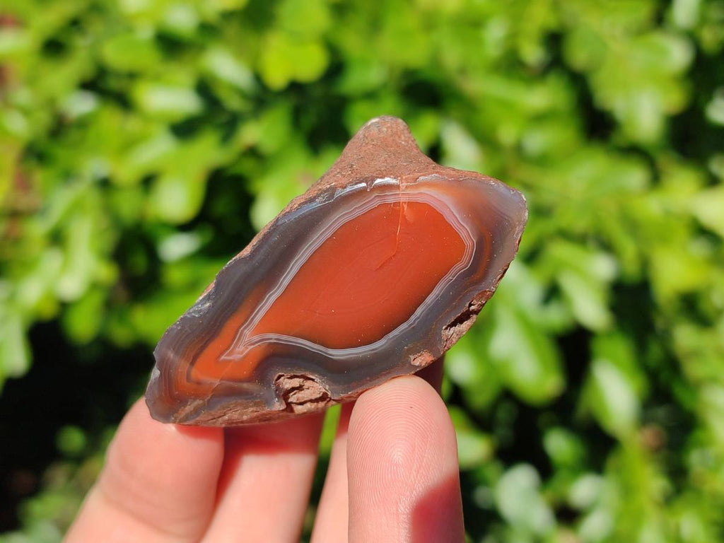 Polished On One Side Red Sashe River Agate Nodules x 20 From Zimbabwe - Toprock Gemstones and Minerals 