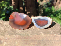 Polished On One Side Red Sashe River Agate Nodules x 20 From Zimbabwe - Toprock Gemstones and Minerals 