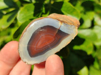Polished On One Side Red Sashe River Agate Nodules x 20 From Zimbabwe - Toprock Gemstones and Minerals 