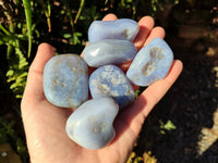 Polished Blue Lace Agate Tumbled Stones x 15 From Nsanje, Malawi