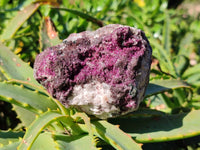 Natural Deep Pink and Purple Drusy Salrose Cobaltion Dolomite Specimens x 4 From Congo - Toprock Gemstones and Minerals 