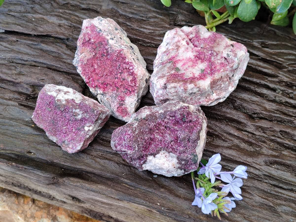 Natural Deep Pink and Purple Drusy Salrose Cobaltion Dolomite Specimens x 4 From Congo
