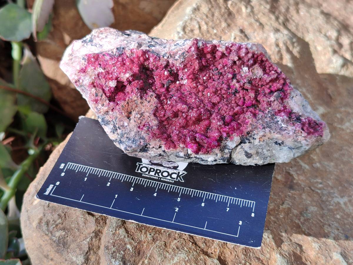Natural Deep Pink and Purple Drusy Salrose Cobaltion Dolomite Specimens x 4 From Congo - Toprock Gemstones and Minerals 
