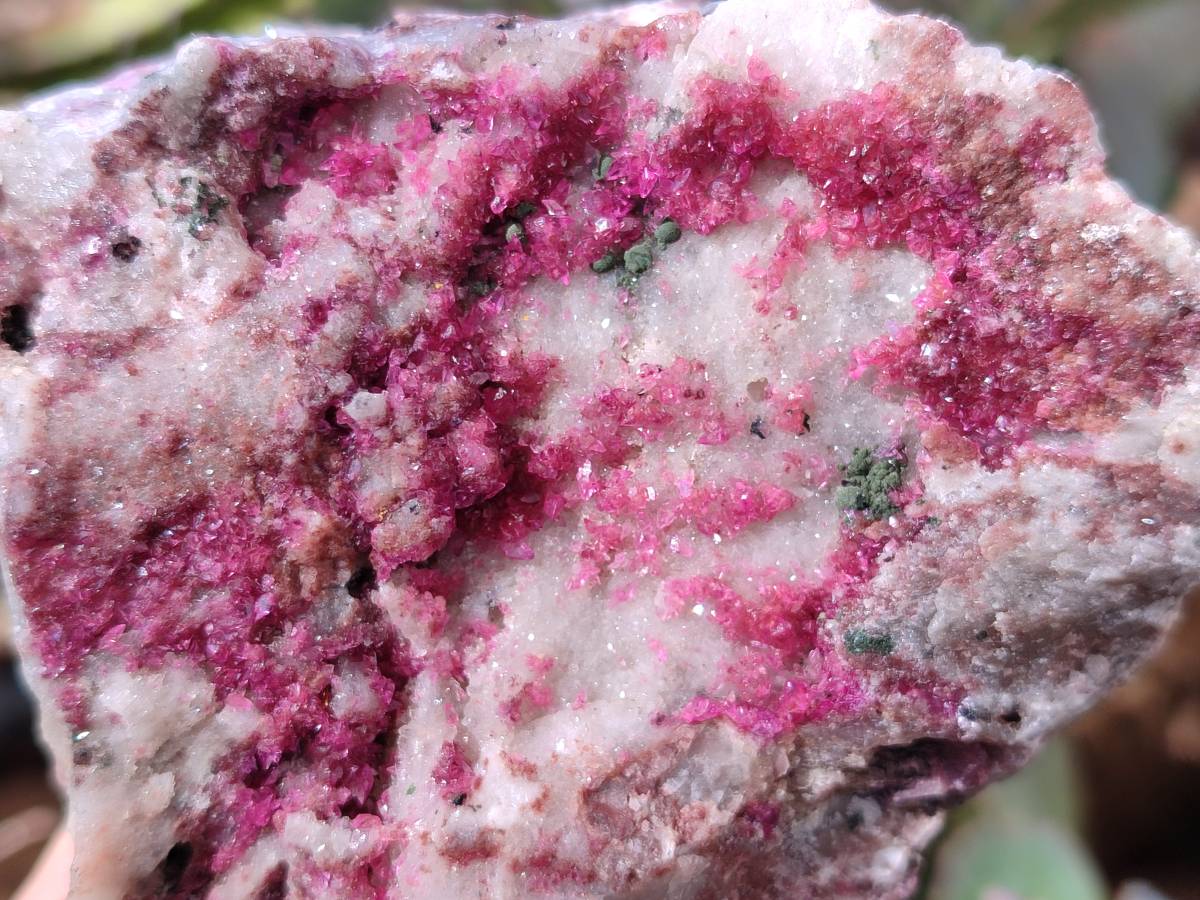 Natural Deep Pink and Purple Drusy Salrose Cobaltion Dolomite Specimens x 4 From Congo - Toprock Gemstones and Minerals 