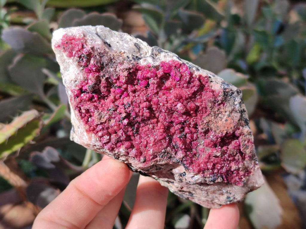 Natural Deep Pink and Purple Drusy Salrose Cobaltion Dolomite Specimens x 4 From Congo - Toprock Gemstones and Minerals 