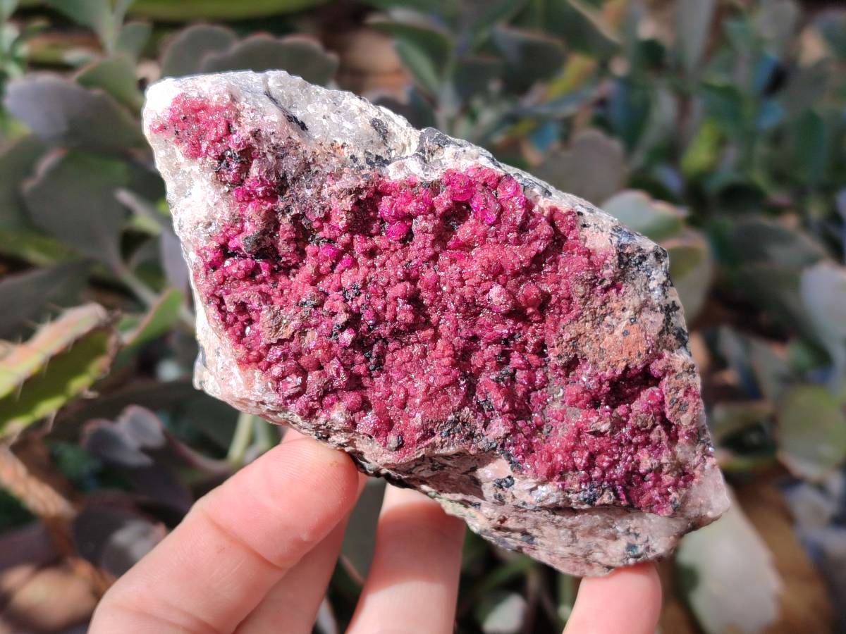 Natural Deep Pink and Purple Drusy Salrose Cobaltion Dolomite Specimens x 4 From Congo - Toprock Gemstones and Minerals 