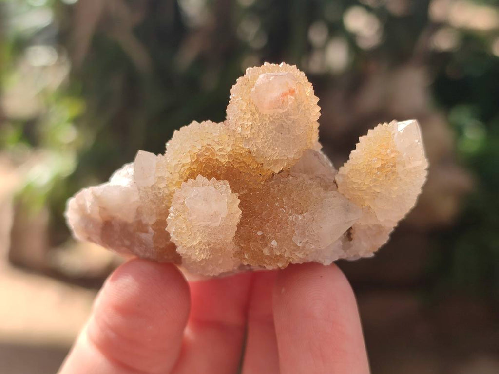 Natural Golden Limonite Coated Spirit Quartz Clusters x 35 From Boekenhouthoek, South Africa - Toprock Gemstones and Minerals 