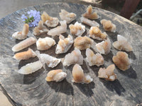 Natural Golden Limonite Coated Spirit Quartz Clusters x 35 From Boekenhouthoek, South Africa - Toprock Gemstones and Minerals 