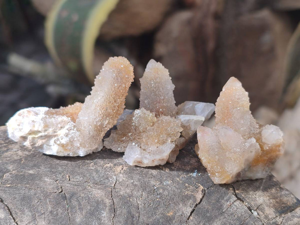 Natural Golden Limonite Coated Spirit Quartz Clusters x 35 From Boekenhouthoek, South Africa - Toprock Gemstones and Minerals 