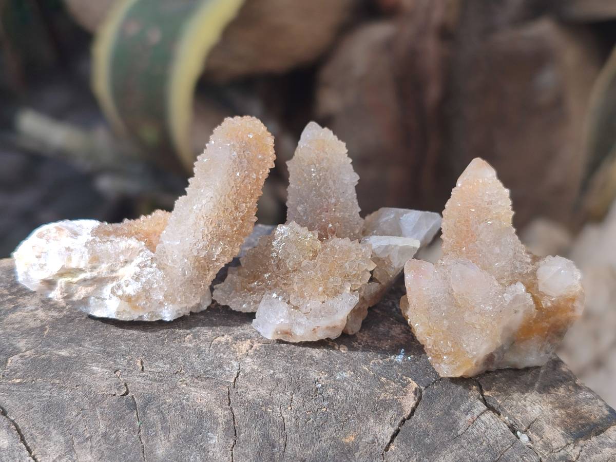 Natural Golden Limonite Coated Spirit Quartz Clusters x 35 From Boekenhouthoek, South Africa - Toprock Gemstones and Minerals 