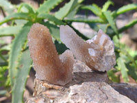 Natural Golden Limonite Coated Spirit Quartz Clusters x 35 From Boekenhouthoek, South Africa - Toprock Gemstones and Minerals 