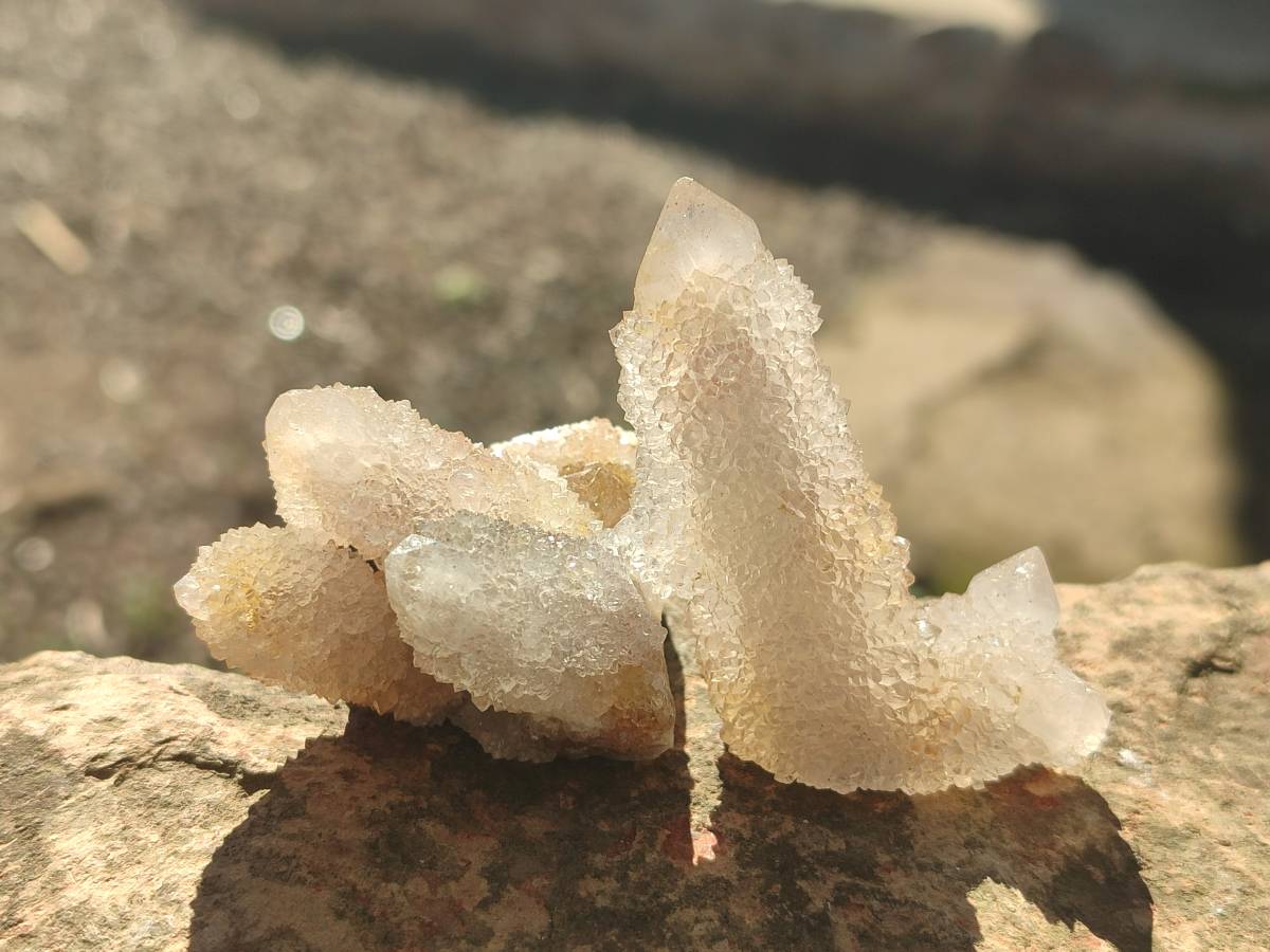 Natural Golden Limonite Coated Spirit Quartz Clusters x 35 From Boekenhouthoek, South Africa - Toprock Gemstones and Minerals 