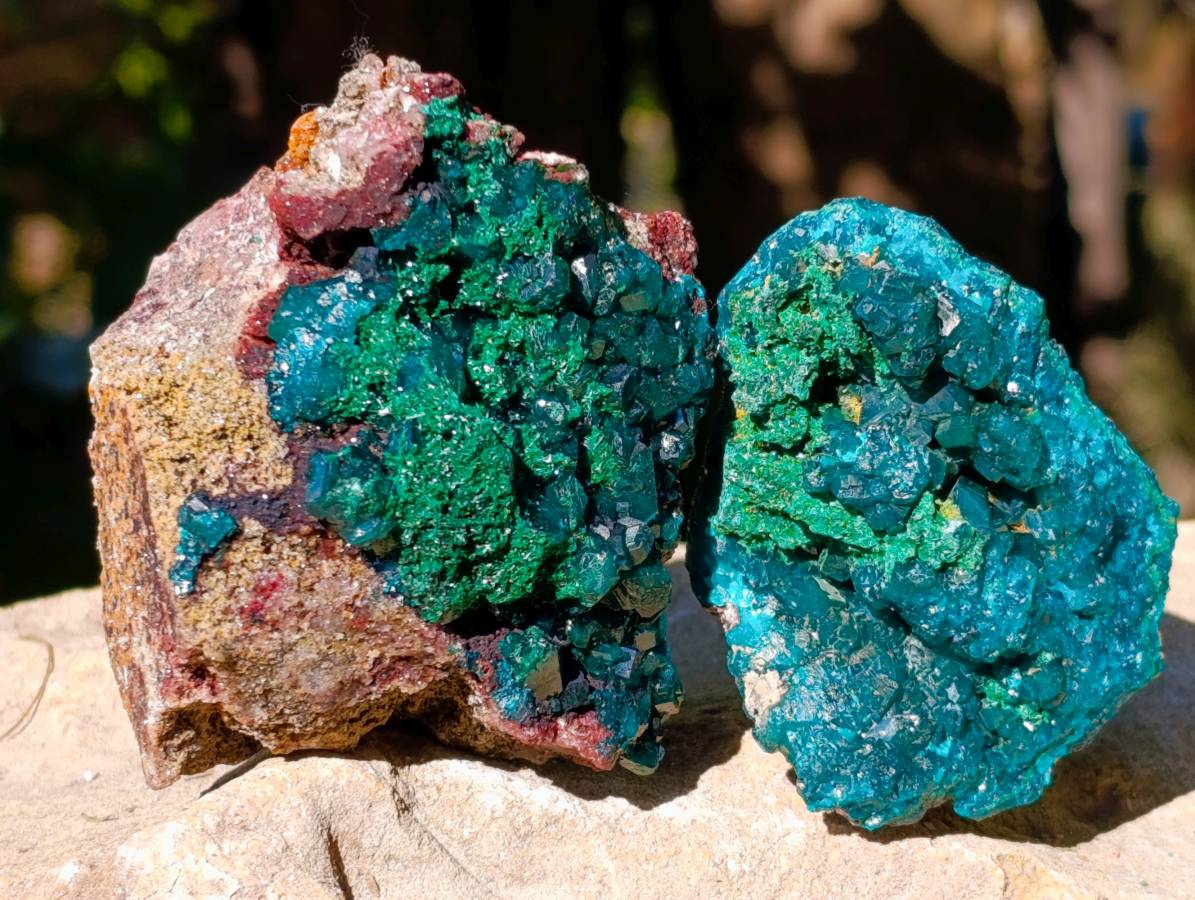 Natural Dioptase On Dolomite with Malachite Specimens x 6 From Likasi, Congo - Toprock Gemstones and Minerals 