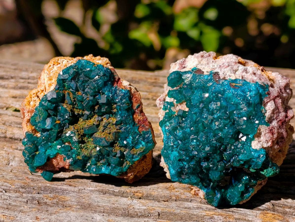 Natural Dioptase On Dolomite with Malachite Specimens x 6 From Likasi, Congo - Toprock Gemstones and Minerals 