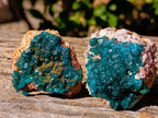 Natural Dioptase On Dolomite with Malachite Specimens x 6 From Likasi, Congo - Toprock Gemstones and Minerals 