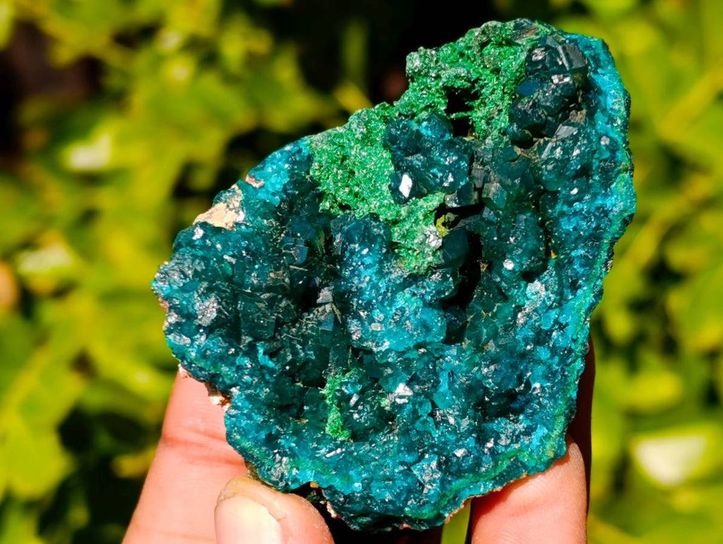 Natural Dioptase On Dolomite with Malachite Specimens x 6 From Likasi, Congo - Toprock Gemstones and Minerals 