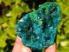 Natural Dioptase On Dolomite with Malachite Specimens x 6 From Likasi, Congo - Toprock Gemstones and Minerals 
