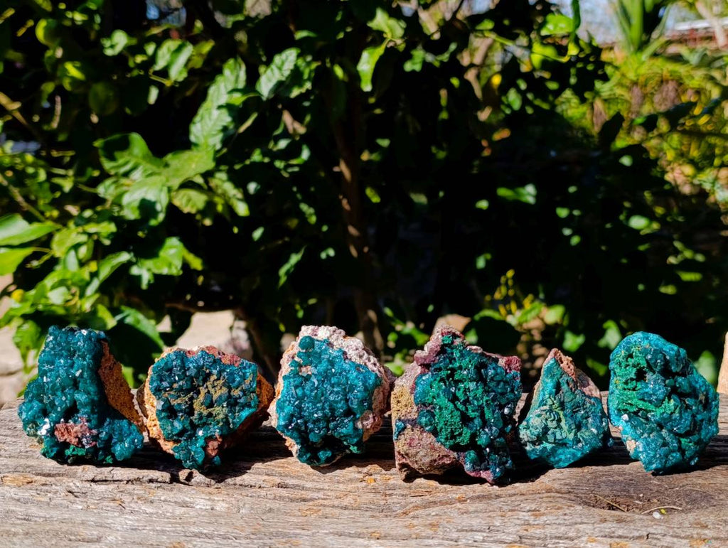 Natural Dioptase On Dolomite with Malachite Specimens x 6 From Likasi, Congo - Toprock Gemstones and Minerals 