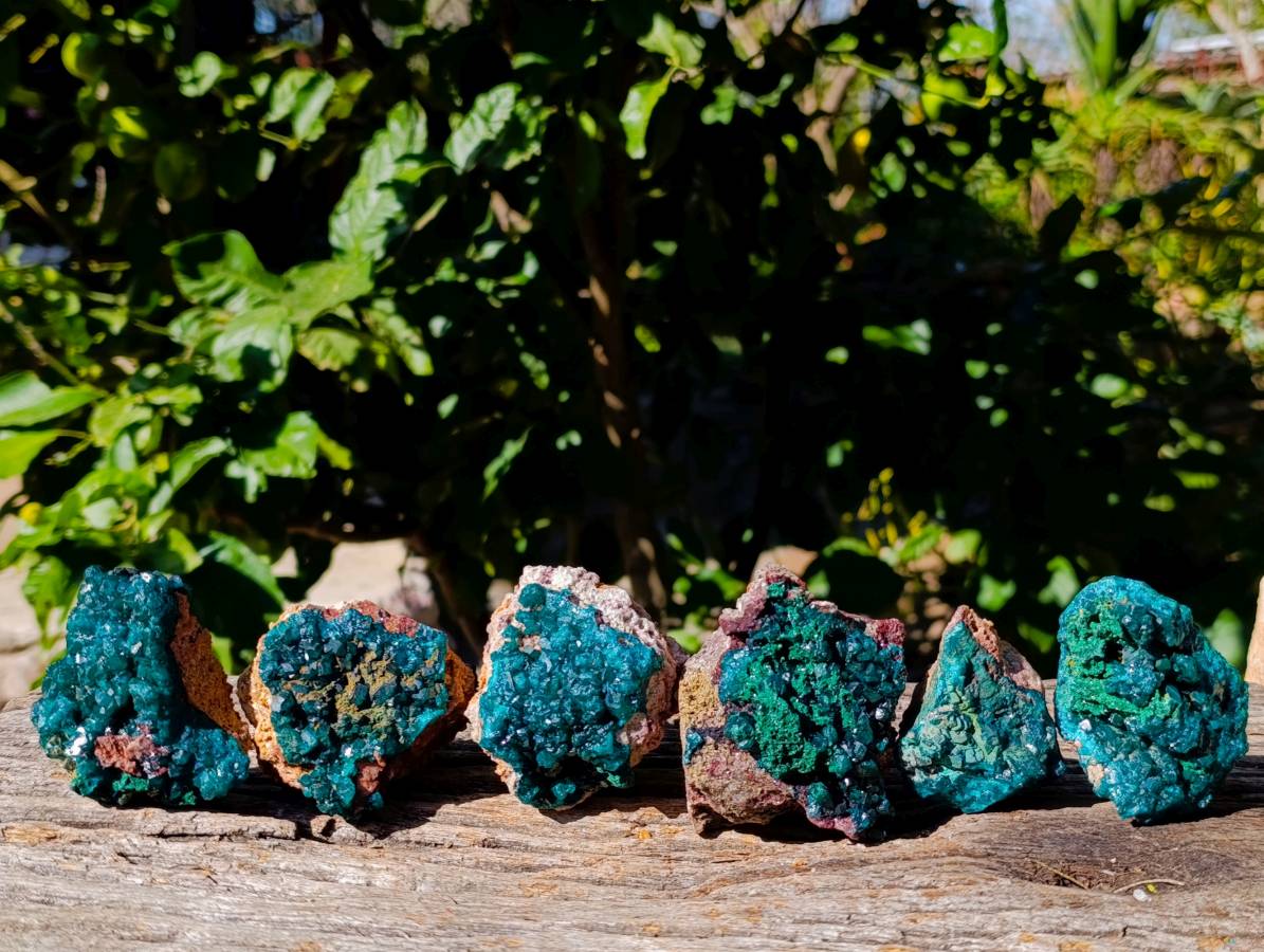 Natural Dioptase On Dolomite with Malachite Specimens x 6 From Likasi, Congo - Toprock Gemstones and Minerals 