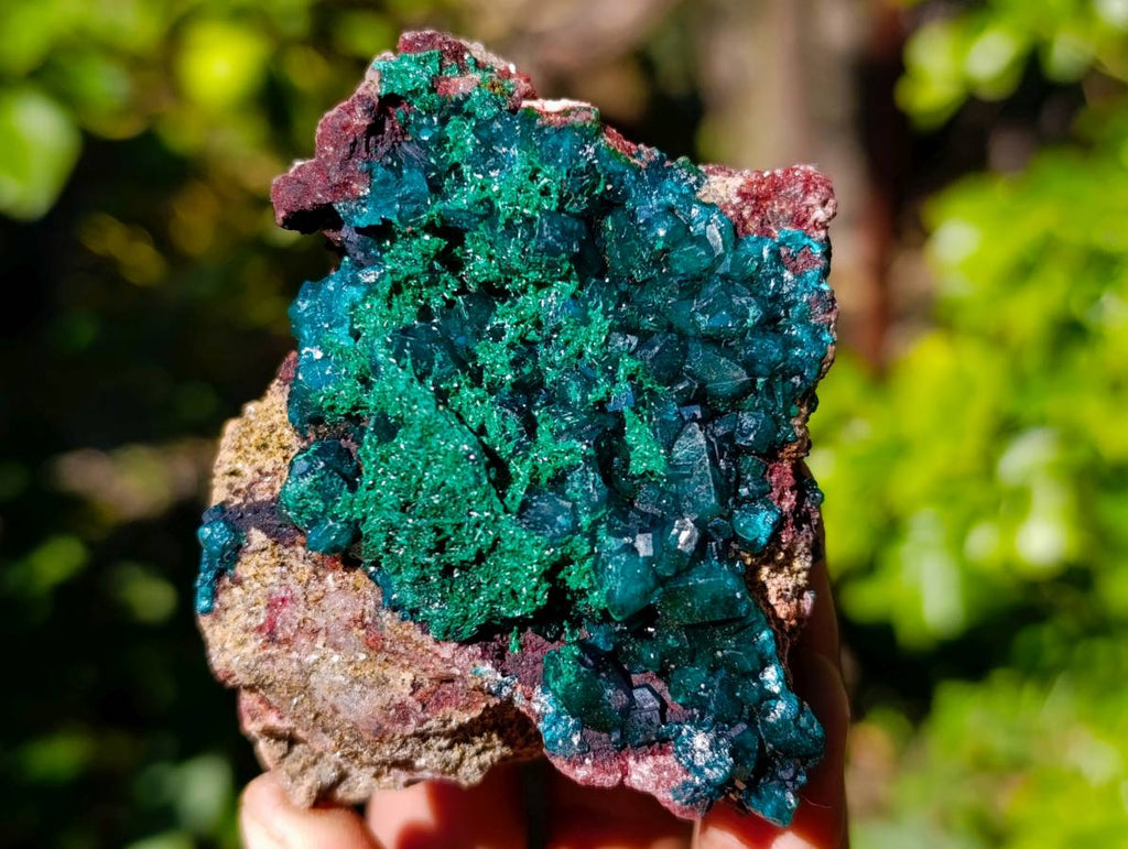 Natural Dioptase On Dolomite with Malachite Specimens x 6 From Likasi, Congo - Toprock Gemstones and Minerals 