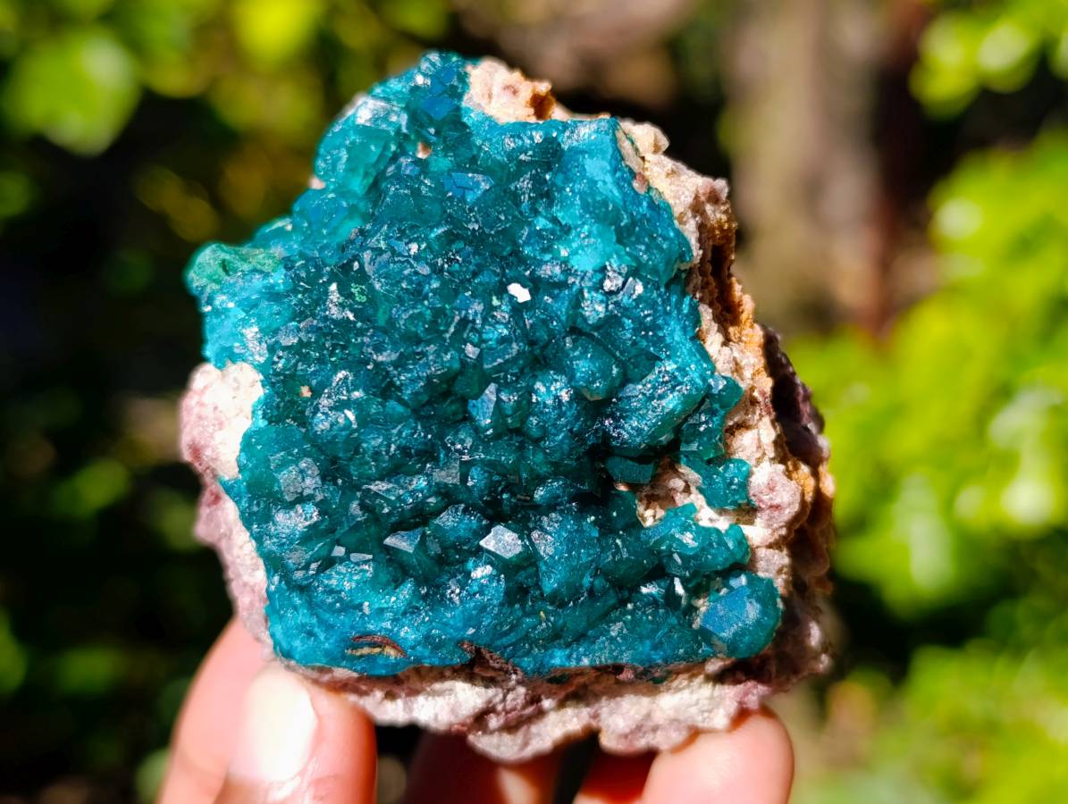 Natural Dioptase On Dolomite with Malachite Specimens x 6 From Likasi, Congo - Toprock Gemstones and Minerals 