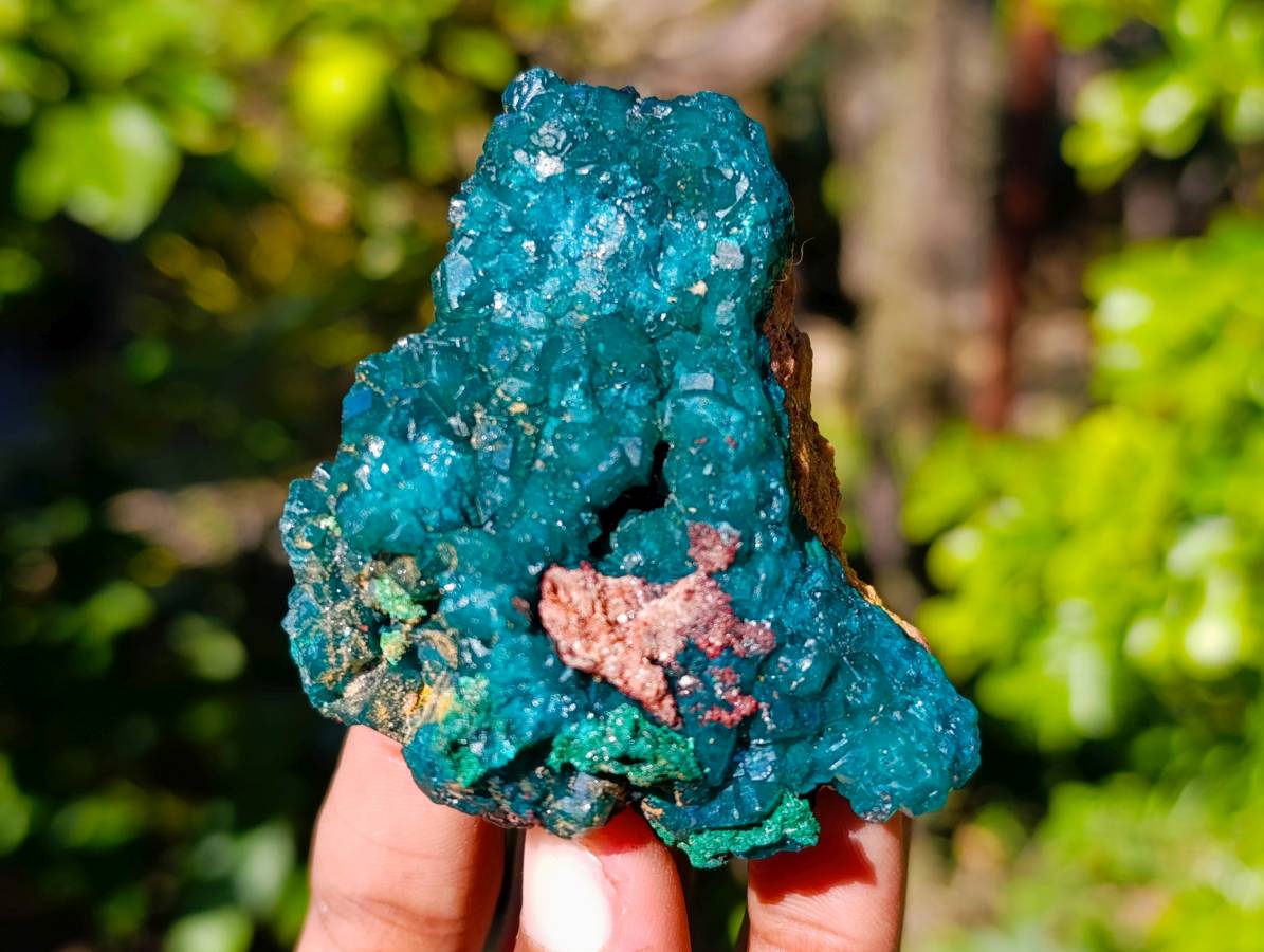 Natural Dioptase On Dolomite with Malachite Specimens x 6 From Likasi, Congo - Toprock Gemstones and Minerals 