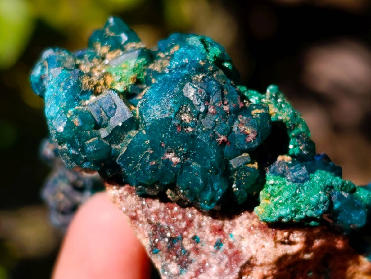 Natural Dioptase On Dolomite with Malachite Specimens x 6 From Likasi, Congo - Toprock Gemstones and Minerals 