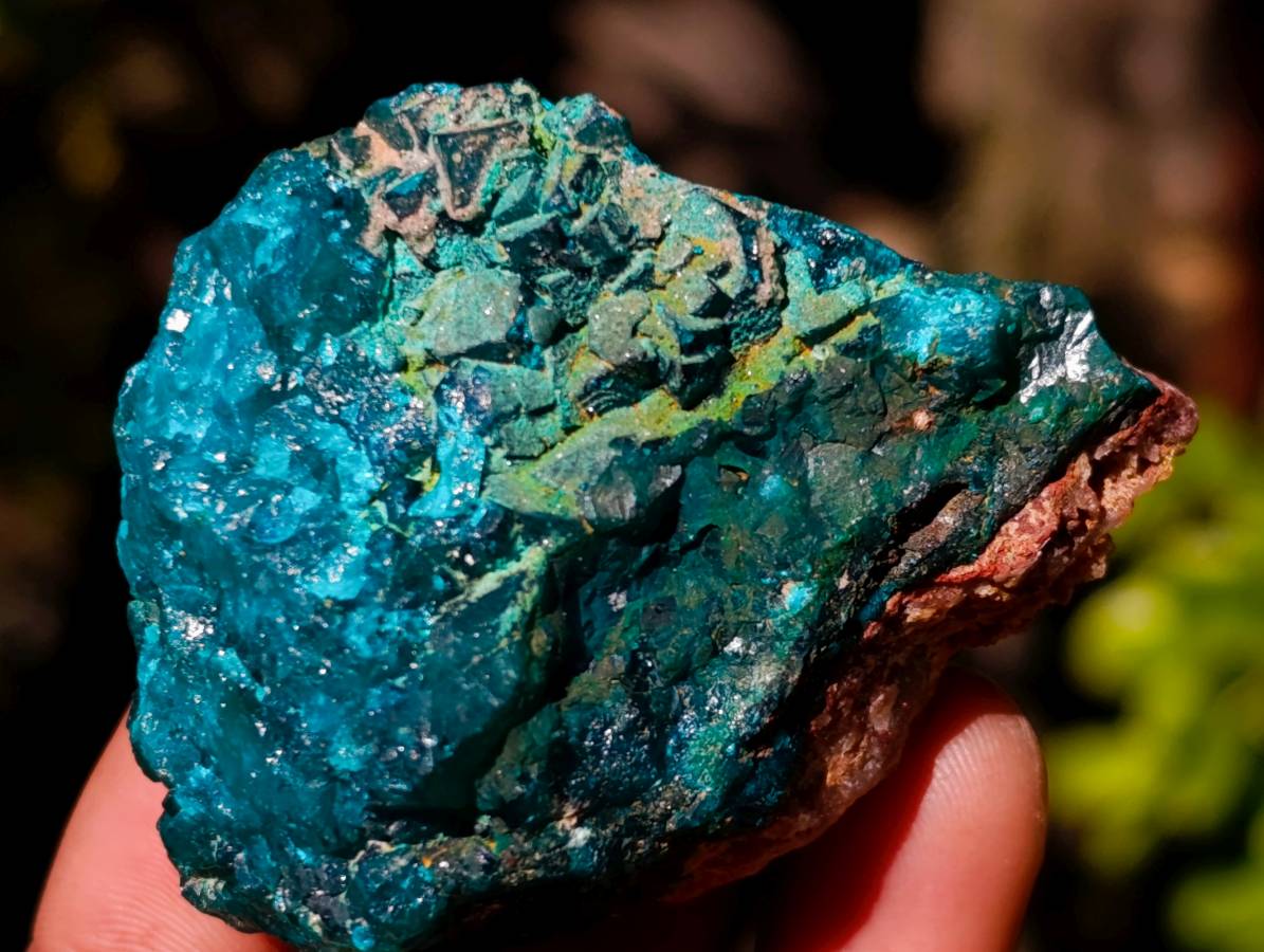 Natural Dioptase On Dolomite with Malachite Specimens x 6 From Likasi, Congo - Toprock Gemstones and Minerals 