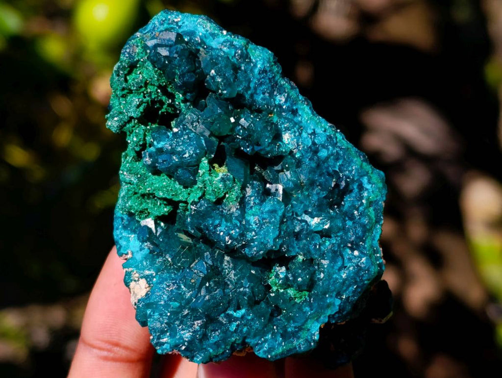 Natural Dioptase On Dolomite with Malachite Specimens x 6 From Likasi, Congo - Toprock Gemstones and Minerals 