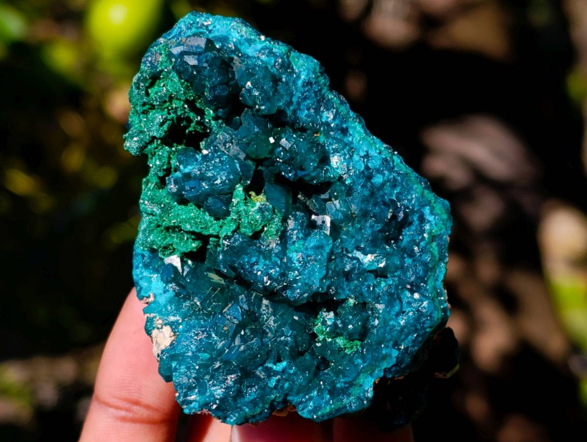 Natural Dioptase On Dolomite with Malachite Specimens x 6 From Likasi, Congo - Toprock Gemstones and Minerals 