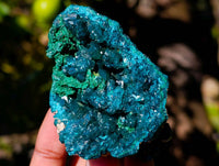 Natural Dioptase On Dolomite with Malachite Specimens x 6 From Likasi, Congo