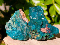 Natural Dioptase On Dolomite with Malachite Specimens x 6 From Likasi, Congo