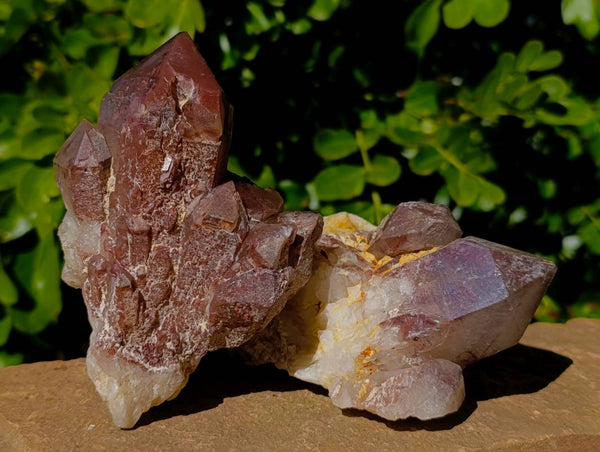 Natural Red Hematoid Quartz Clusters x 3 From Karoi, Zimbabwe