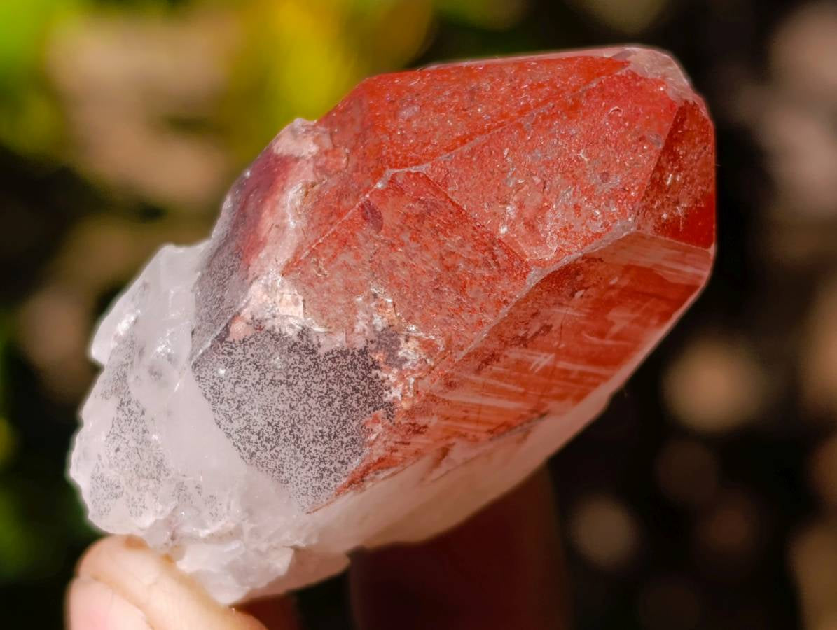 Natural Multi Mineral Specimens x 2.99 Kg Lot From Southern Africa - Toprock Gemstones and Minerals 