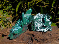 Natural Cabinet Lamellar Malachite Pseudomorph Specimens x 2 From Lupoto Mine, Congo