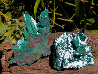 Natural Cabinet Lamellar Malachite Pseudomorph Specimens x 2 From Lupoto Mine, Congo