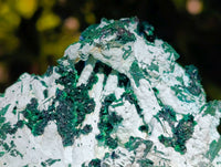 Natural Cabinet Lamellar Malachite Pseudomorph Specimens x 2 From Lupoto Mine, Congo