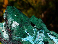Natural Cabinet Lamellar Malachite Pseudomorph Specimens x 2 From Lupoto Mine, Congo