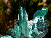Natural Cabinet Lamellar Malachite Pseudomorph Specimens x 2 From Lupoto Mine, Congo